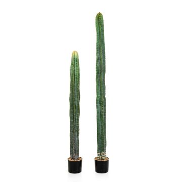Artificial column cactus ELKURUD, green-red, 5ft/140cm