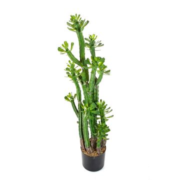 Artificial Euphorbia royleana GACRUX, green, 4ft/120cm