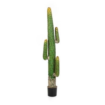 Artificial column cactus GOMEISA, green-red, 6ft/170cm