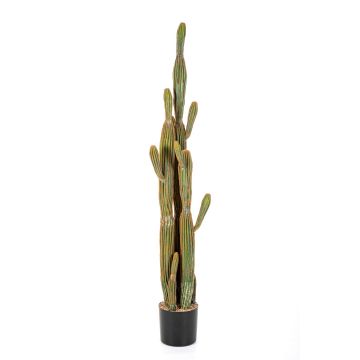 Artificial cactus San Pedro GRUMIUM, green-brown, 5ft/150cm