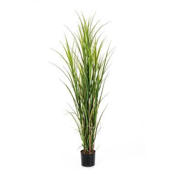 Artificial reed grass BRACHIUM, green-brown, 5ft/165cm