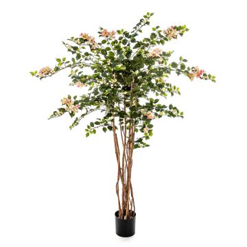 Fake Bougainvillea OGMA, natural stems, flowers, yellow-light pink, 5ft/150cm