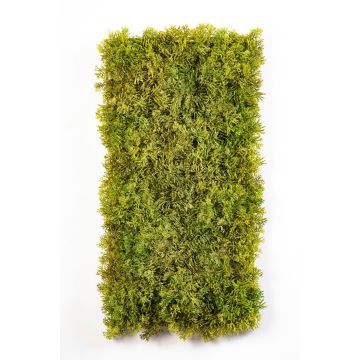 Fake Iceland moss mat MUSCIDA, green-brown, flame retardant, 10"x20"/25x50cm