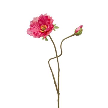 Silk poppy HASNA, fuchsia, 30"/75 cm