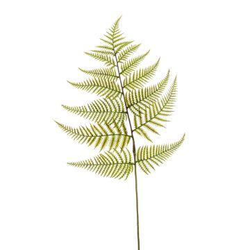 Western sword fern artificial leaf MBALI, green, 31"/80cm