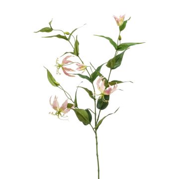 Artificial Gloriosa WARIS pink-cream, 4ft/120 cm