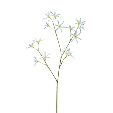 Artificial flower Tweedia solanoides MONGAI, light blue, 28"/70 cm