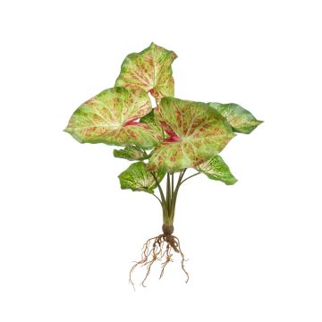 Artificial Syngonium Podophyllum AKAYU, stick, roots, green-red, 16"/40 cm