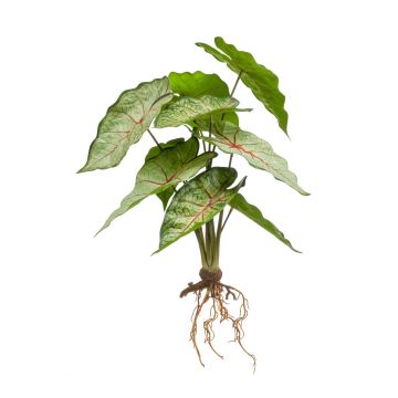 Artificial Caladium USAGI, on stick, roots, green-red, 14"/35 cm