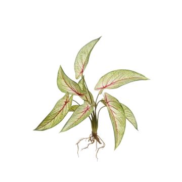 Artificial Calathea Ornata ASAGI, stick, roots, green-red, 16"/40 cm