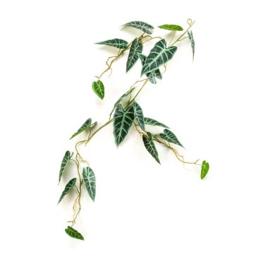 Artificial Alocasia Sanderiana garland SEISHIN, green-white, 4ft/110 cm