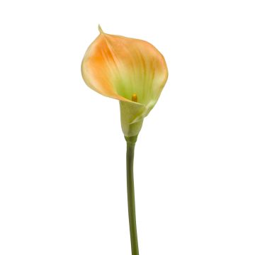 Calla lily silk flower DAISCHI, yellow-green, 28"/70 cm