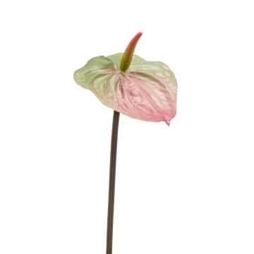 Artificial laceleaf YUSEI, green-pink, 26"/65 cm