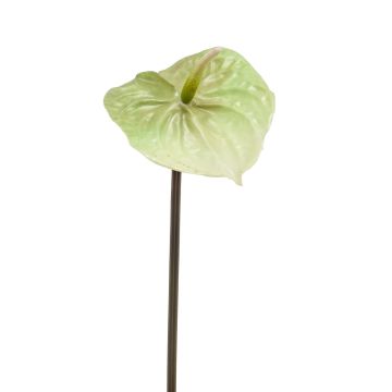 Artificial laceleaf YUSEI, green-cream, 26"/65 cm