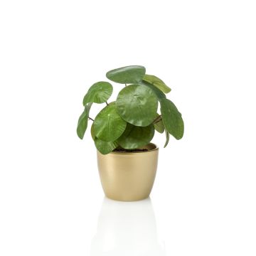 Artificial chinese money plant SYBIL in ceramic pot gold, green, 8"/20cm