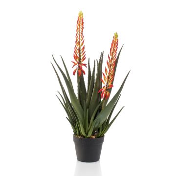 Aloe vera artificial plant SUSUMI with flowers, decorative pot, orange-green, 31"/80cm