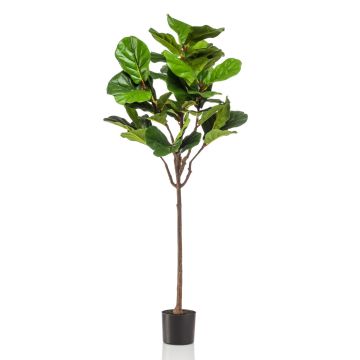 Artificial Ficus Lyrata ABIULA, real trunk, green, 5ft/155 cm