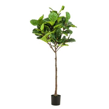 Artificial Ficus Lyrata ABIULA, real trunk, green, 6ft/195 cm