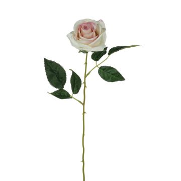 Silk rose SEENSA, cream-pink, 22"/55cm, Ø 2.8"/7cm