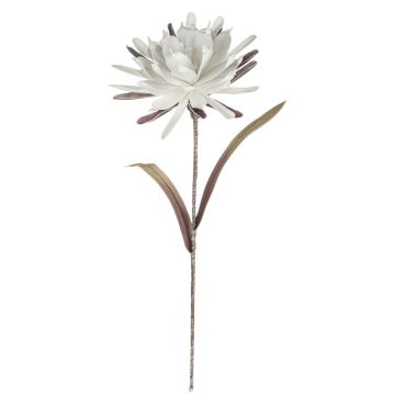 Artificial cactus flower queen of the night MOADI, white-antique pink, 3ft/90cm
