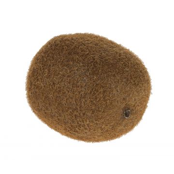 Plastic Kiwi SURATA, brown, 2.4"/6cm