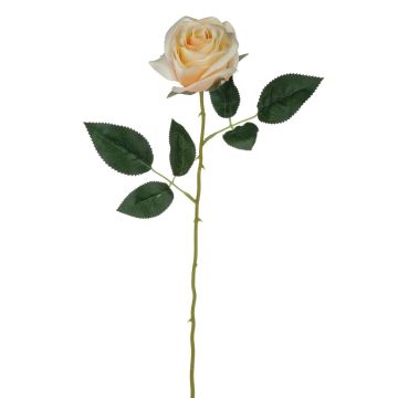Silk rose SEENSA, cream-apricot, 22"/55cm, Ø 2.8"/7cm