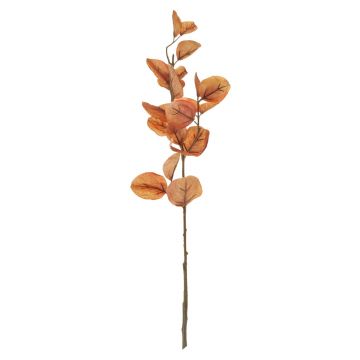 Artificial eucalyptus branch SOPONG, brown, 24"/60cm