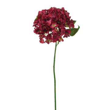 Silk hortensia LOBPURI, burgundy, 22"/55cm