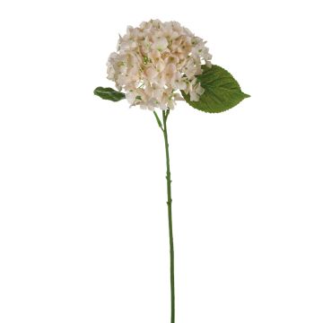 Silk hortensia LOBPURI, light pink, 22"/55cm