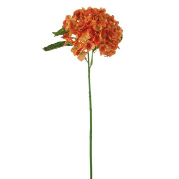 Silk hortensia LOBPURI, orange, 22"/55cm