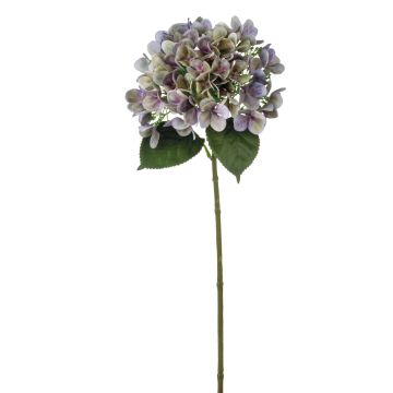 Fake hydrangea RELENA, green-violet, 26"/65cm