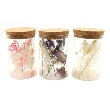 Dried flowers in glass pot FELICITY, 3 pieces, pink-purple-white, 13cm, Ø8cm