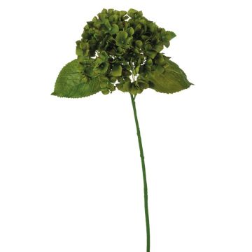 Silk hortensia LOBPURI, dark green, 22"/55cm