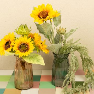 Sunflower and Sunshine