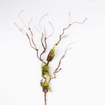 Artificial corkscrew willow branch RODRIK, moss, fern, brown-green, 31"/80cm
