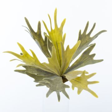Plastic staghorn fern FIGARO on spike, green-grey, 14"/35cm, Ø12"/30cm