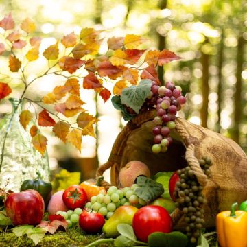 Thanksgiving - The fruits of the earth