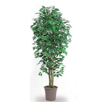 Decorative Ficus Benjamina LEONORET, real stems, green-white, 4ft/125cm - Made in Italy
