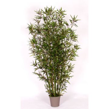 Decorative bamboo HILDEMARA, natural bamboo sticks, crossdoor, 6ft/175cm - Made in Italy