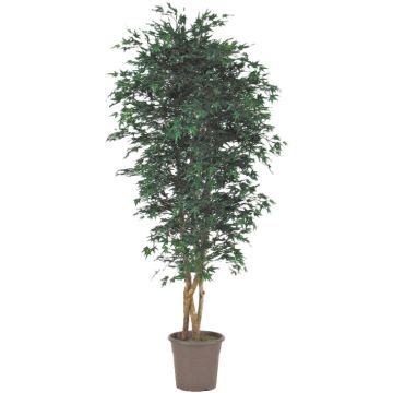 Artificial Japanese maple tree KESCHA, natural stems, green, 6ft/175cm - Made in Italy