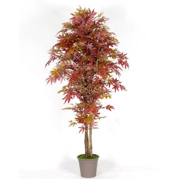 Artificial Japanese maple MYKYTA, natural stems, red-brown, 5ft/150cm - Made in Italy