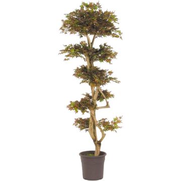Decorative tree Japanese maple SLAWIK, real stem, green-red, 5ft/150cm - Made in Italy