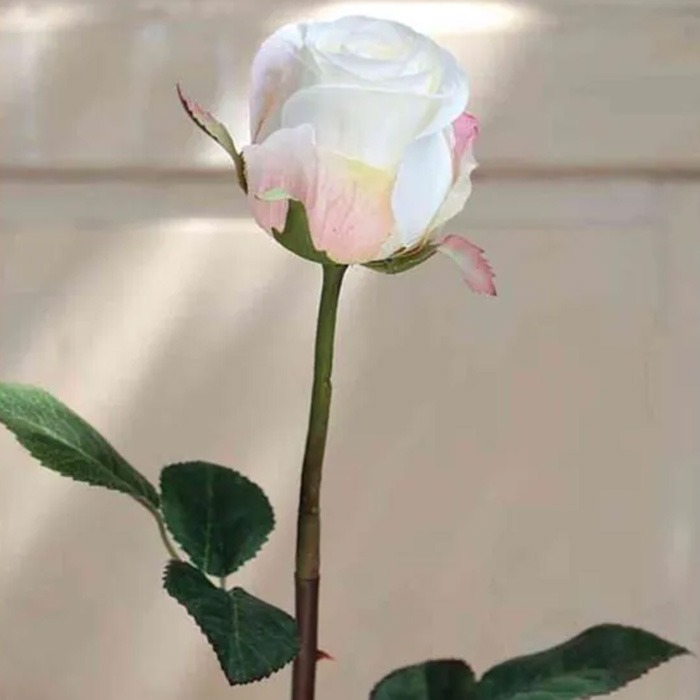 All Saints' Day flowers