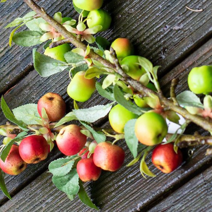 Fruits / plants A&ndash;Z