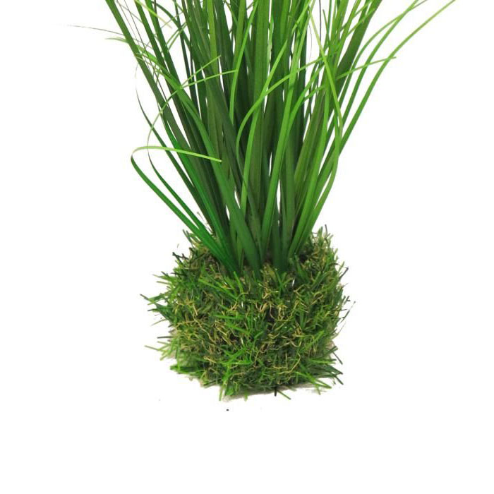 with soil ball / moss ball