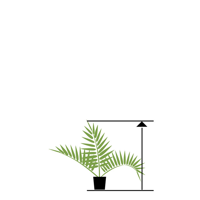up to 99 cm