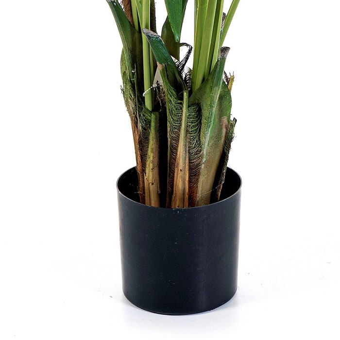 in the inner pot