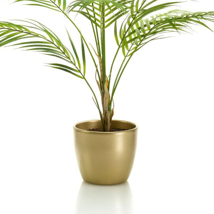 in a cachepot
