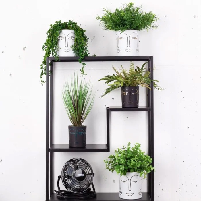 Face to Face / Do you like my haircut?