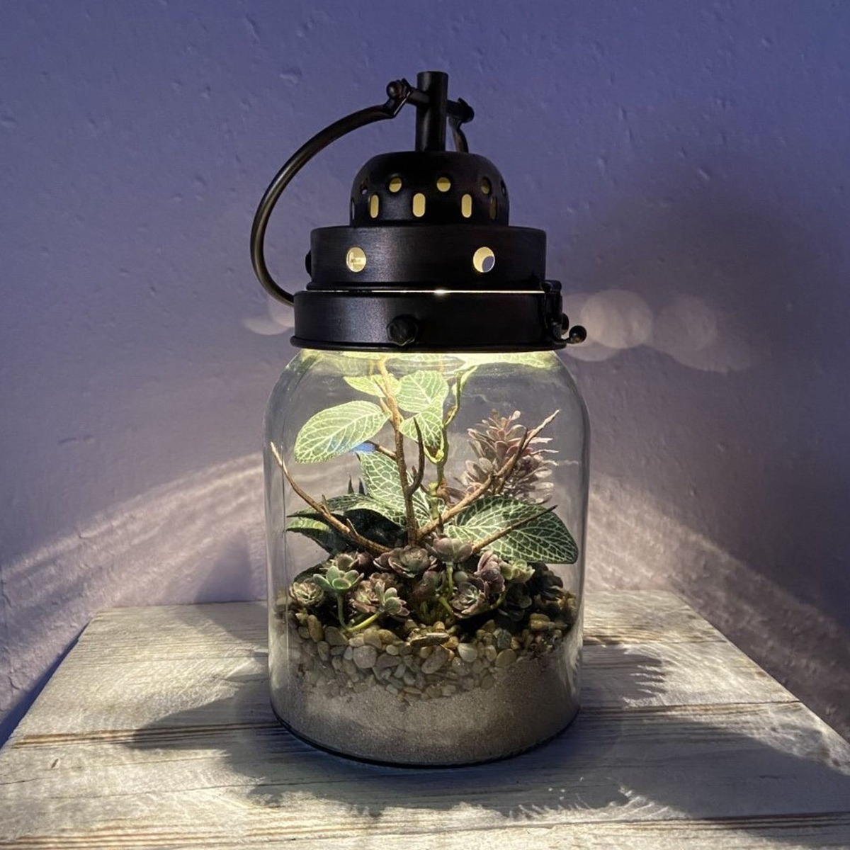 Industrial Bottle Garden